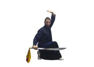 Estilo Shaolin