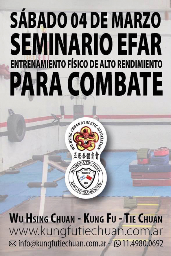 04032017 Seminario EFAR Combate